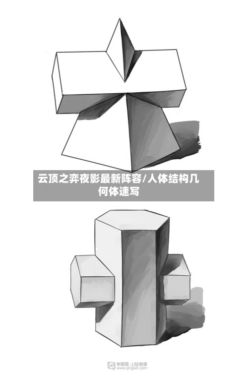 云顶之弈夜影最新阵容/人体结构几何体速写