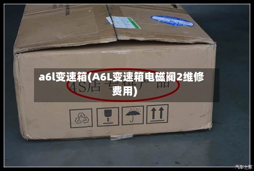 a6l变速箱(A6L变速箱电磁阀2维修费用)-第2张图片