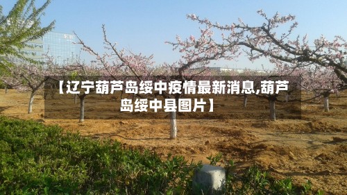 【辽宁葫芦岛绥中疫情最新消息,葫芦岛绥中县图片】