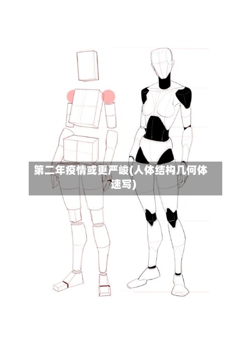 第二年疫情或更严峻(人体结构几何体速写)-第3张图片