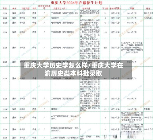 重庆大学历史学怎么样/重庆大学在渝历史类本科批录取-第2张图片