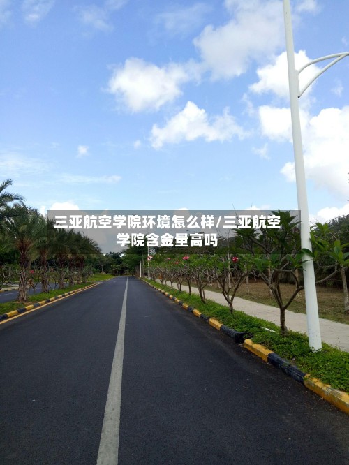 三亚航空学院环境怎么样/三亚航空学院含金量高吗