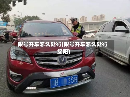 限号开车怎么处罚(限号开车怎么处罚绵阳)-第2张图片