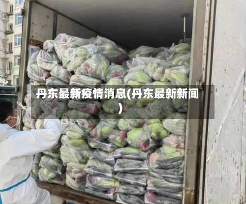丹东最新疫情消息(丹东最新新闻)-第2张图片