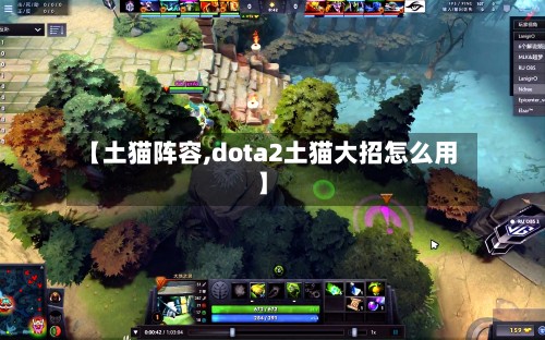 【土猫阵容,dota2土猫大招怎么用】-第3张图片