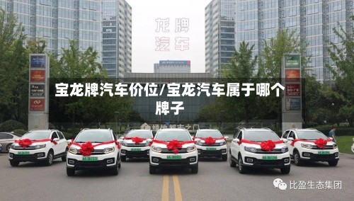 宝龙牌汽车价位/宝龙汽车属于哪个牌子