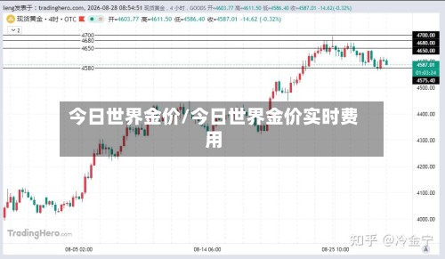 今日世界金价/今日世界金价实时费用