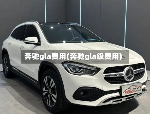 奔驰gla费用(奔驰gla级费用)
