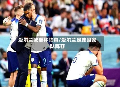 爱尔兰欧洲杯阵容/爱尔兰足球国家队阵容-第3张图片