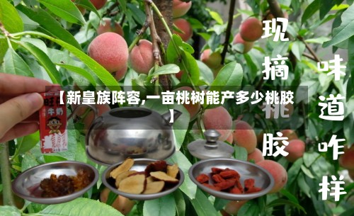 【新皇族阵容,一亩桃树能产多少桃胶】
