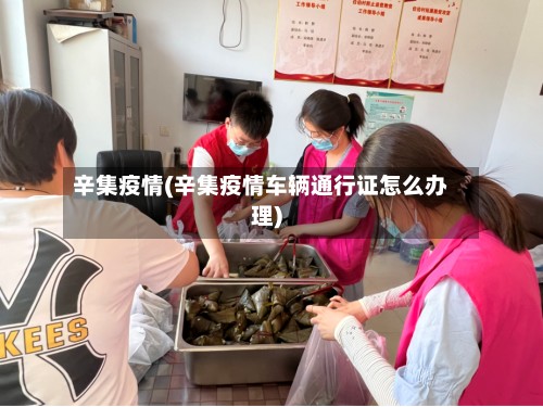 辛集疫情(辛集疫情车辆通行证怎么办理)-第2张图片