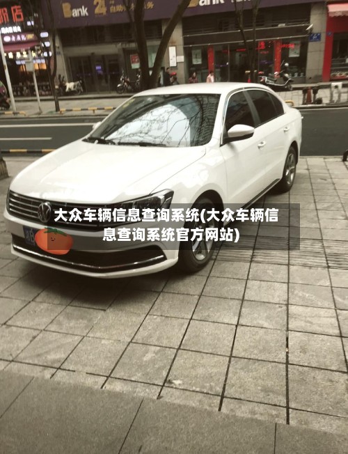 大众车辆信息查询系统(大众车辆信息查询系统官方网站)-第2张图片