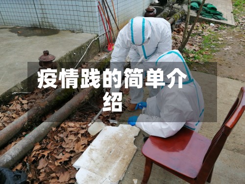 疫情践的简单介绍
