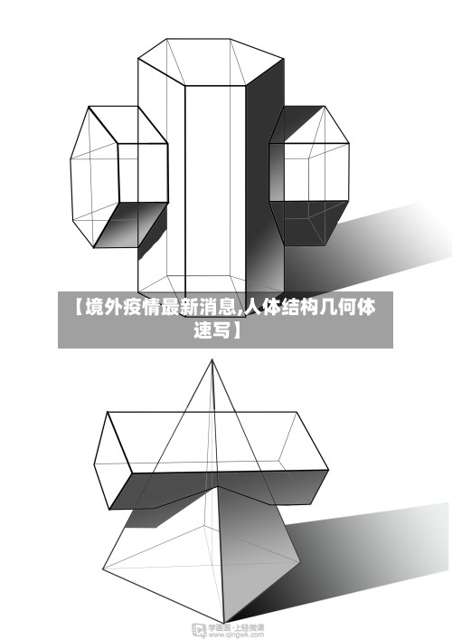 【境外疫情最新消息,人体结构几何体速写】-第2张图片