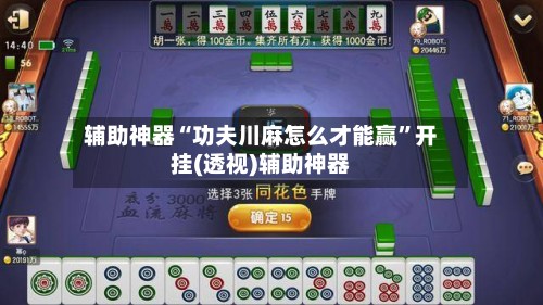 辅助神器“功夫川麻怎么才能赢”开挂(透视)辅助神器-第2张图片