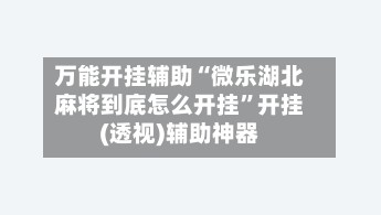万能开挂辅助“微乐湖北麻将到底怎么开挂”开挂(透视)辅助神器-第2张图片
