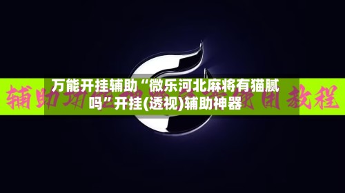 万能开挂辅助“微乐河北麻将有猫腻吗	”开挂(透视)辅助神器-第3张图片