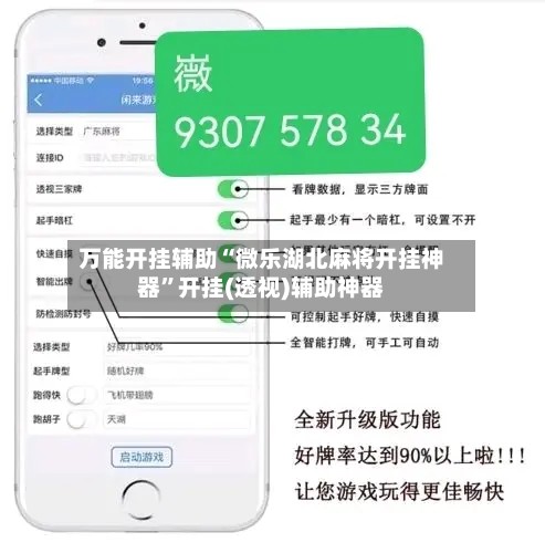 万能开挂辅助“微乐湖北麻将开挂神器”开挂(透视)辅助神器-第2张图片