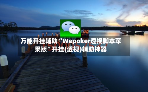 万能开挂辅助“Wepoker透视脚本苹果版”开挂(透视)辅助神器-第3张图片