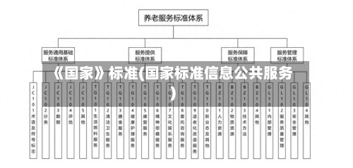 《国家》标准(国家标准信息公共服务)