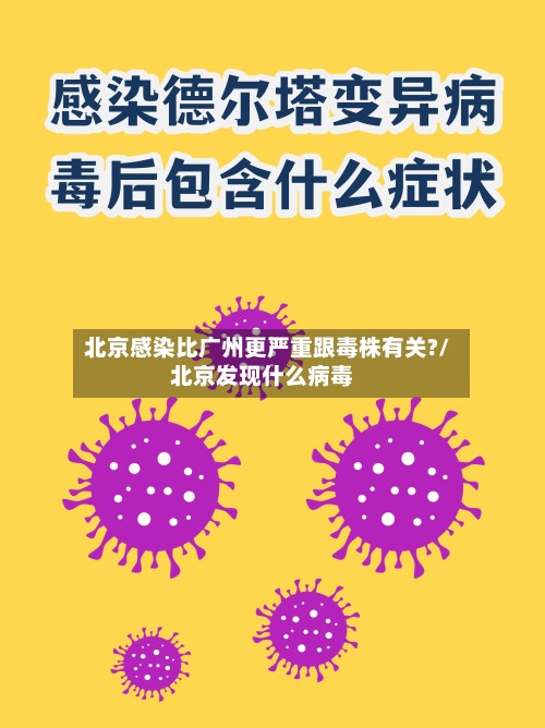 北京感染比广州更严重跟毒株有关?/北京发现什么病毒-第3张图片