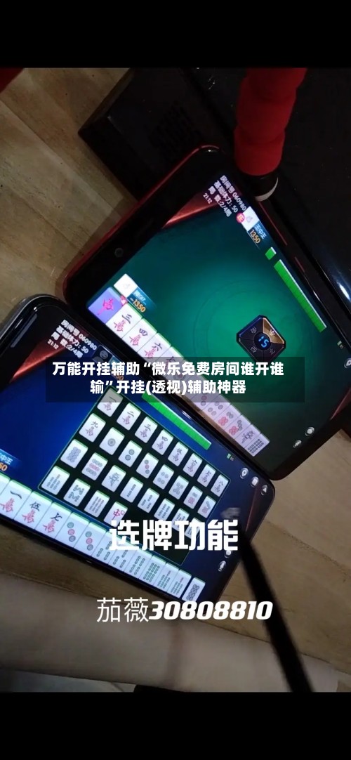 万能开挂辅助“微乐免费房间谁开谁输”开挂(透视)辅助神器-第2张图片
